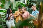 Introducing Instuly Pulse: Get Paid for Your Opinion as a Student
