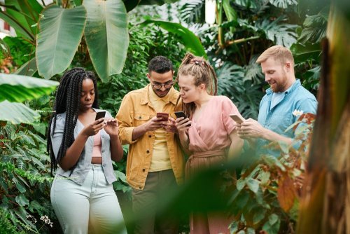 Introducing Instuly Pulse: Get Paid for Your Opinion as a Student